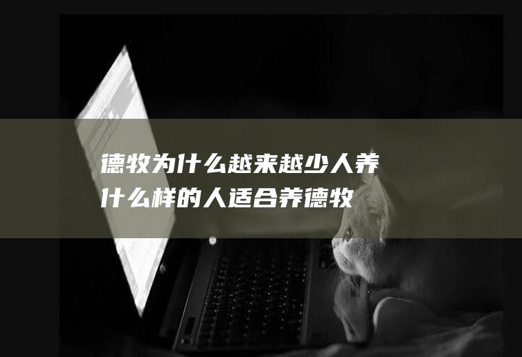 德牧为什么越来越少人养(什么样的人适合养德牧)