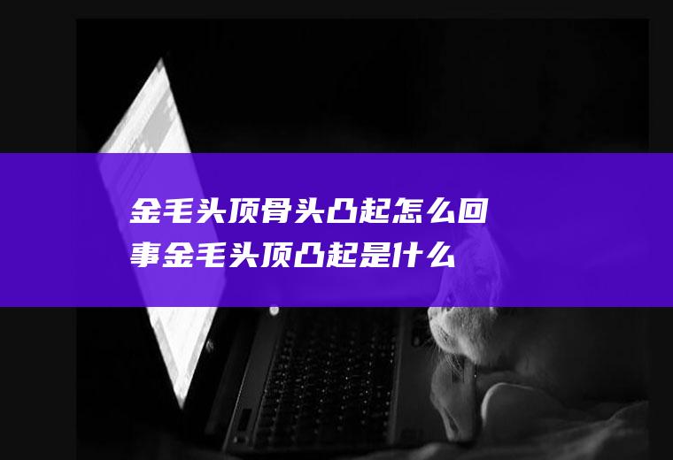 金毛头顶骨头凸起怎么回事(金毛头顶凸起是什么)