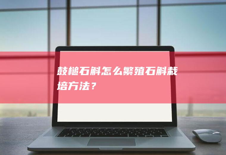 鼓槌石斛怎么繁殖,石斛栽培方法？