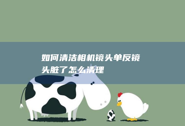 如何清洁相机镜头(单反镜头脏了怎么清理)