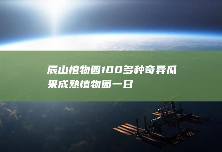 辰山植物园100多种奇异瓜果成熟(植物园一日游)