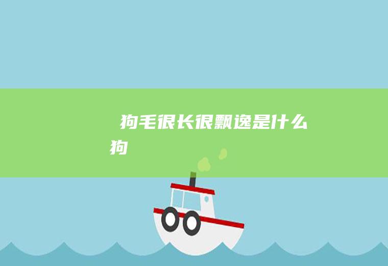 ​狗毛很长很飘逸是什么狗