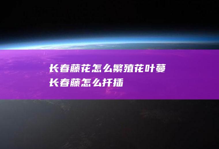 长春藤花怎么繁殖(花叶蔓长春藤怎么扦插)