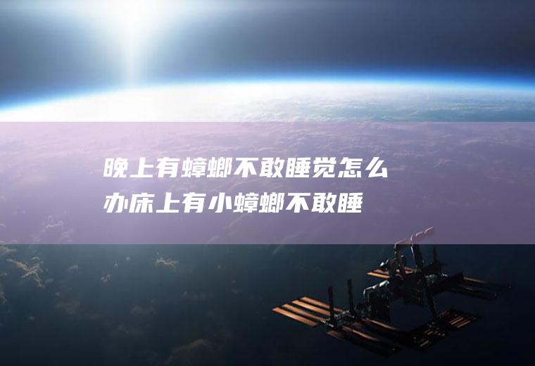 晚上有蟑螂不敢睡觉怎么办(床上有小蟑螂不敢睡了)
