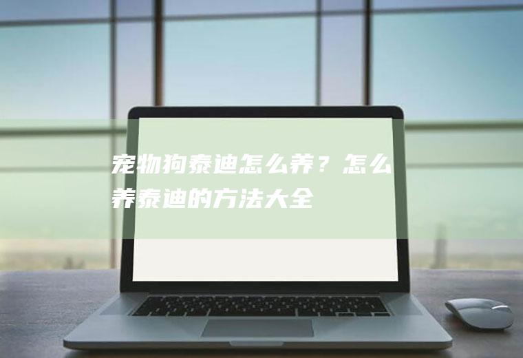 宠物狗泰迪怎么养？(怎么养泰迪的方法大全)