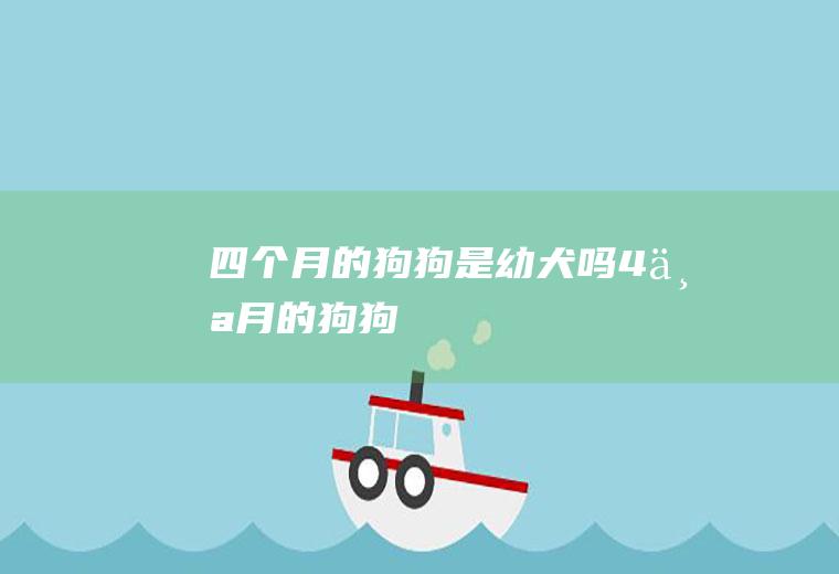 四个月的狗狗是幼犬吗(4个月的狗狗)