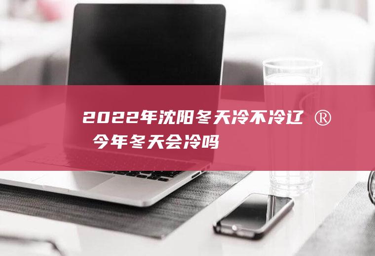 2022年沈阳冬天冷不冷(辽宁今年冬天会冷吗2020)