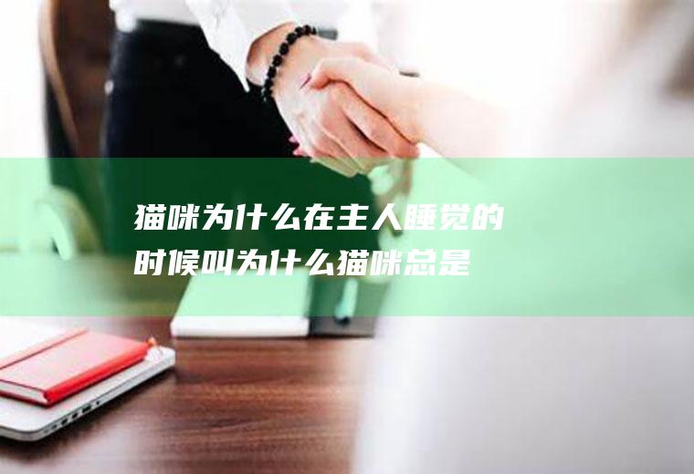 猫咪为什么在主人睡觉的时候叫(为什么猫咪总是在主人睡觉时叫我)