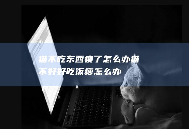 猫不吃东西瘦了怎么办(猫不好好吃饭瘦怎么办)
