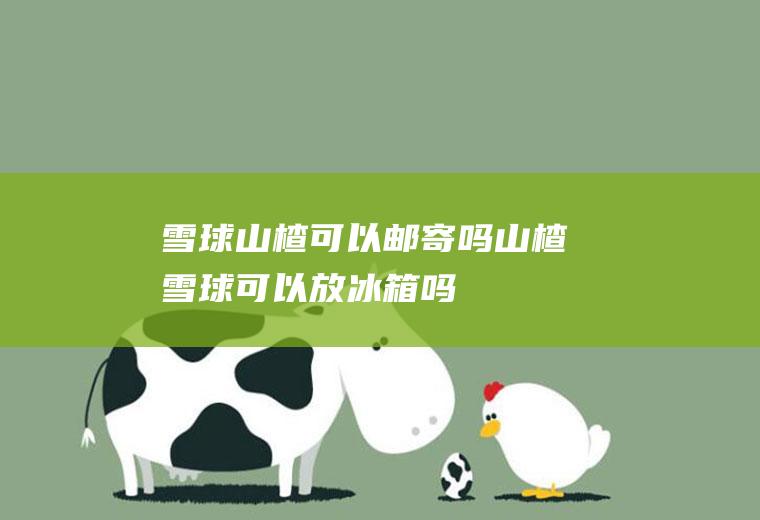 雪球山楂可以邮寄吗(山楂雪球可以放冰箱吗)