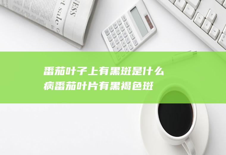 番茄叶子上有黑斑是什么病(番茄叶片有黑褐色斑)