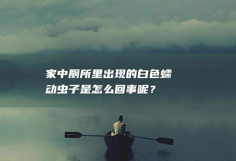 家中厕所里出现的白色蠕动虫子是怎么回事呢？