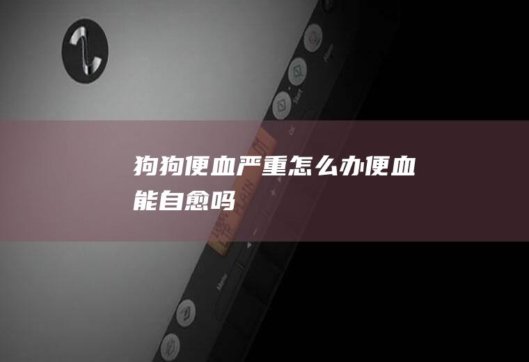 狗狗便血严重怎么办(便血能自愈吗)