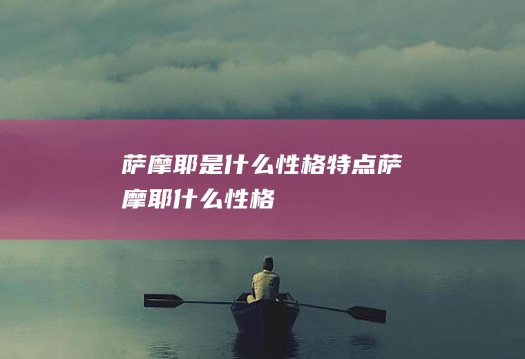 萨摩耶是什么性格特点(萨摩耶什么性格)