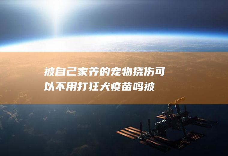 被自己家养的宠物挠伤可以不用打狂犬疫苗吗(被自家宠物狗抓伤需要打狂犬疫苗吗)