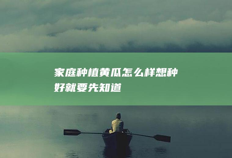 家庭种植黄瓜怎么样（想种好就要先知道）