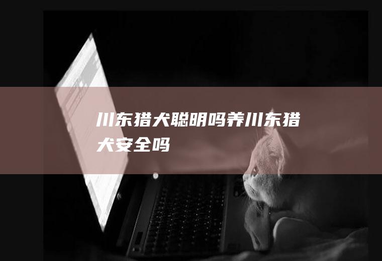 川东猎犬聪明吗(养川东猎犬安全吗)