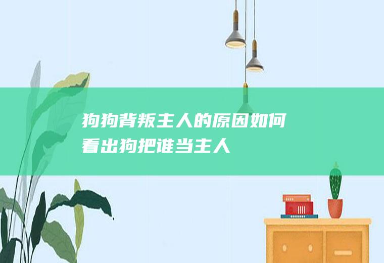 狗狗背叛主人的原因(如何看出狗把谁当主人)