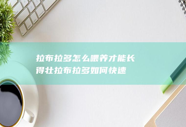 拉布拉多怎么喂养才能长得壮(拉布拉多如何快速增肥)