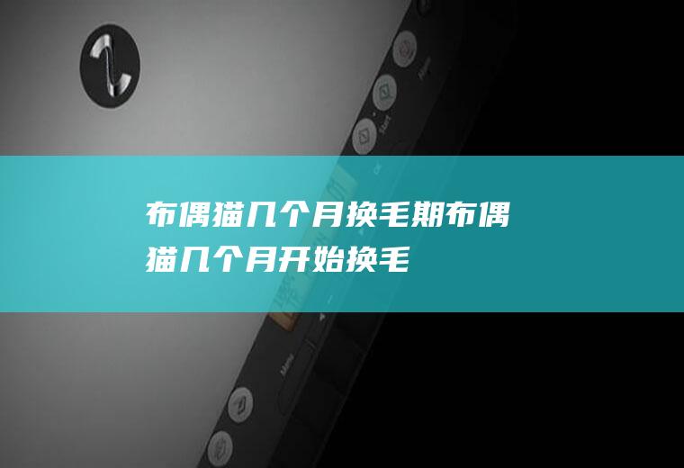 布偶猫几个月换毛期(布偶猫几个月开始换毛)