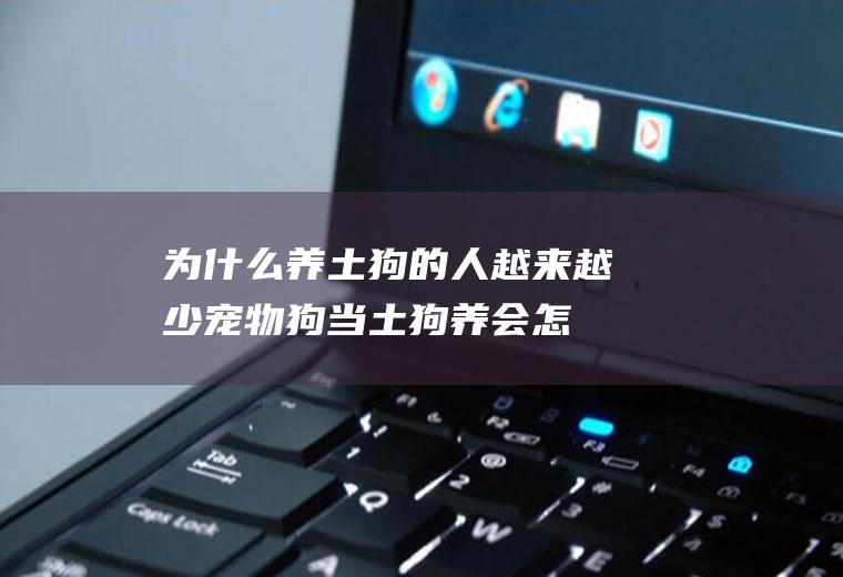 为什么养土狗的人越来越少(宠物狗当土狗养会怎么样)