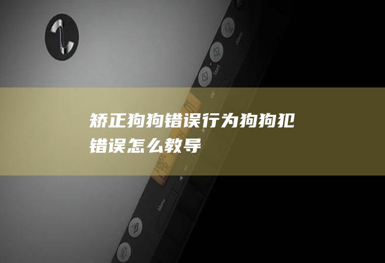 矫正狗狗错误行为(狗狗犯错误怎么教导)