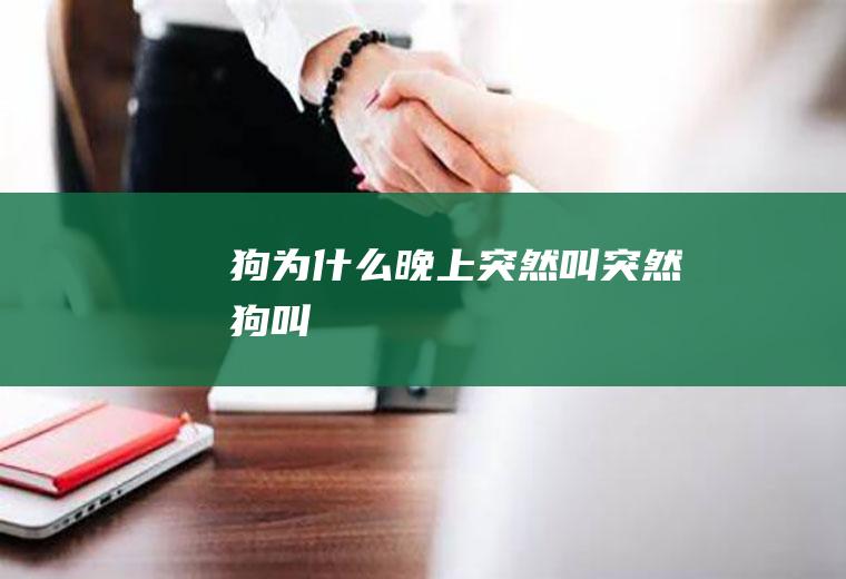 狗为什么晚上突然叫(突然狗叫)
