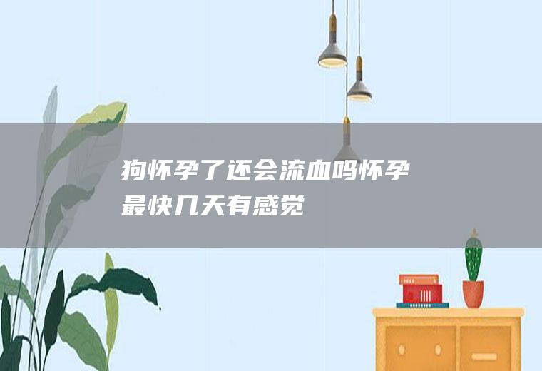 狗怀孕了还会流血吗(怀孕最快几天有感觉)