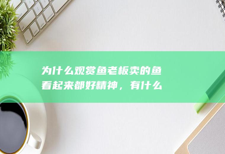 为什么观赏鱼老板卖的鱼看起来都好精神，有什么养护秘密(曼龙鱼)