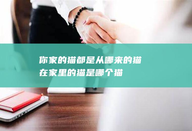 你家的猫都是从哪来的(猫在家里的猫是哪个猫)