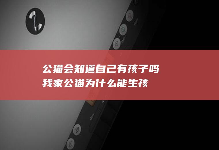 公猫会知道自己有孩子吗(我家公猫为什么能生孩子)