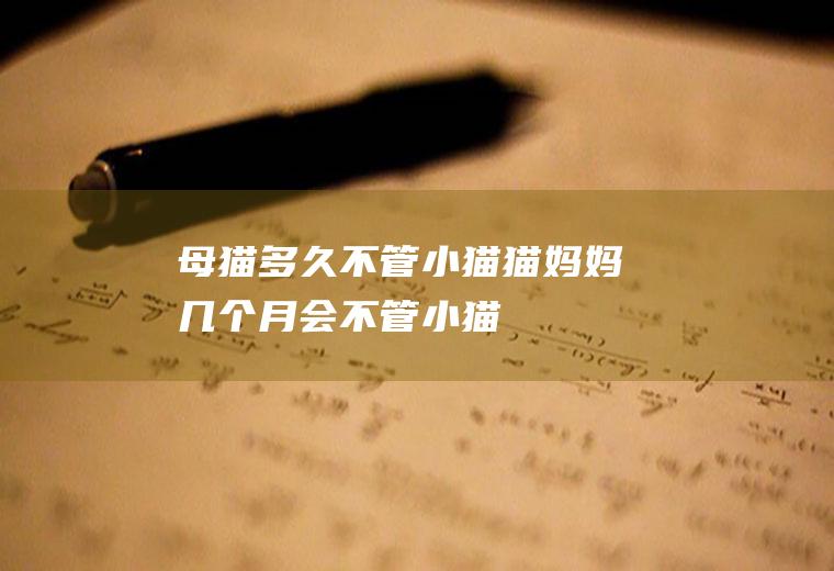 母猫多久不管小猫(猫妈妈几个月会不管小猫)