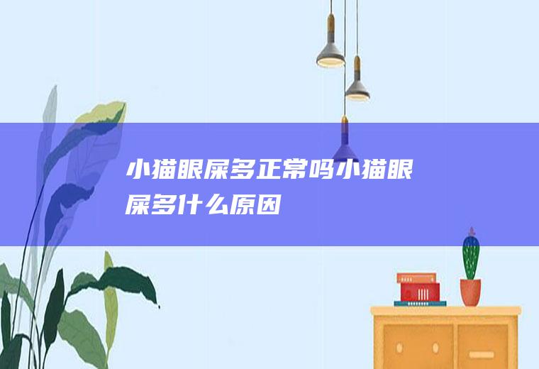 小猫眼屎多正常吗(小猫眼屎多什么原因)