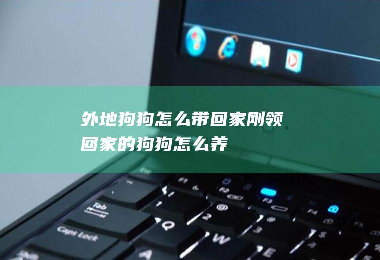 外地狗狗怎么带回家(刚领回家的狗狗怎么养)