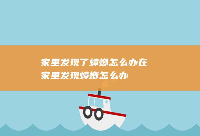 家里发现了蟑螂怎么办,在家里发现蟑螂怎么办
