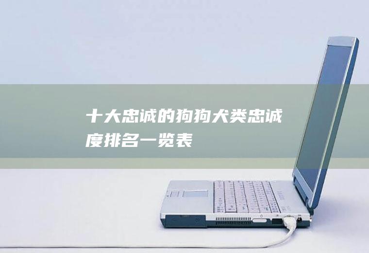 十大忠诚的狗狗(犬类忠诚度排名一览表)