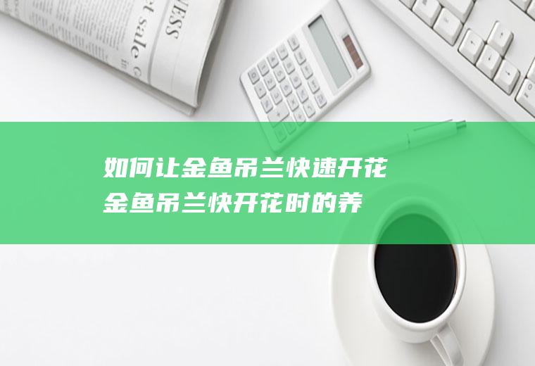如何让金鱼吊兰快速开花(金鱼吊兰快开花时的养殖方法和注意事项)