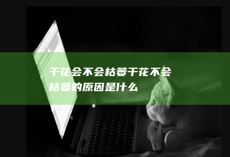 干花会不会枯萎(干花不会枯萎的原因是什么)