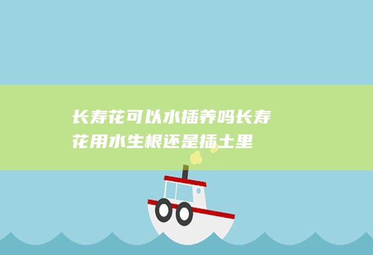 长寿花可以水插养吗(长寿花用水生根还是插土里)