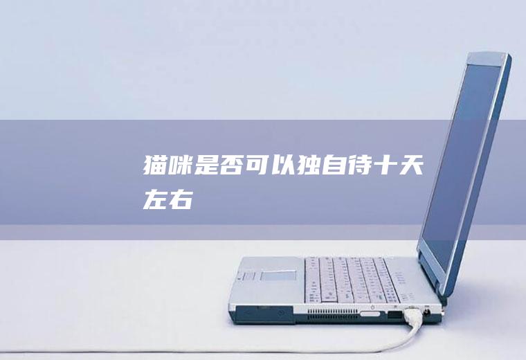猫咪是否可以独自待十天左右