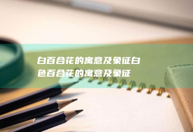 白百合花的寓意及象征(白色百合花的寓意及象征)