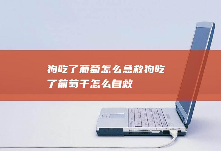 狗吃了葡萄怎么急救(狗吃了葡萄干怎么自救)