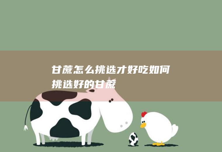 甘蔗怎么挑选才好吃(如何挑选好的甘蔗)
