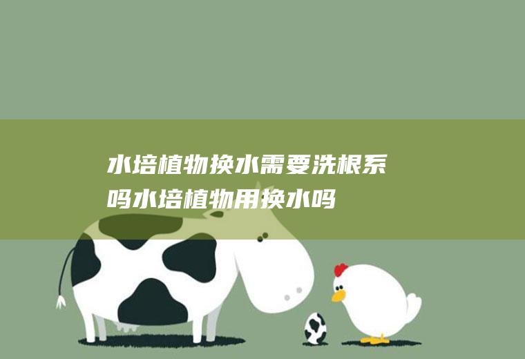 水培植物换水需要洗根系吗(水培植物用换水吗)