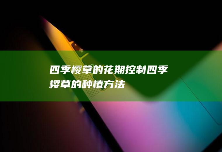 四季樱草的花期控制(四季樱草的种植方法)