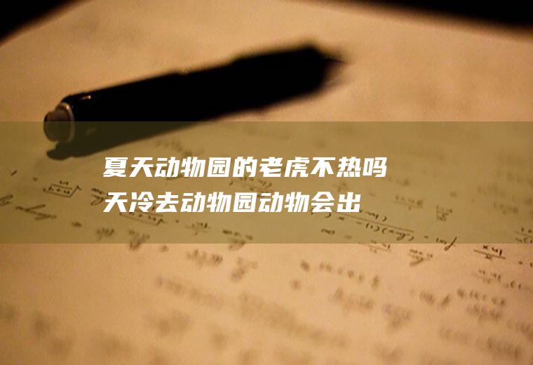 夏天动物园的老虎不热吗(天冷去动物园动物会出来吗)