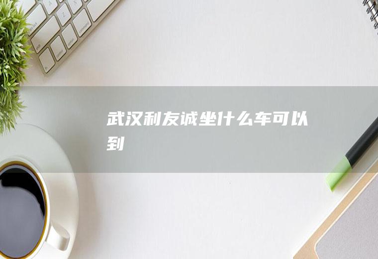 武汉利友诚坐什么车可以到