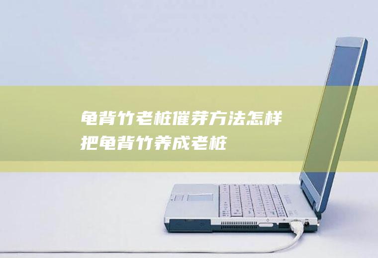 龟背竹老桩催芽方法(怎样把龟背竹养成老桩)