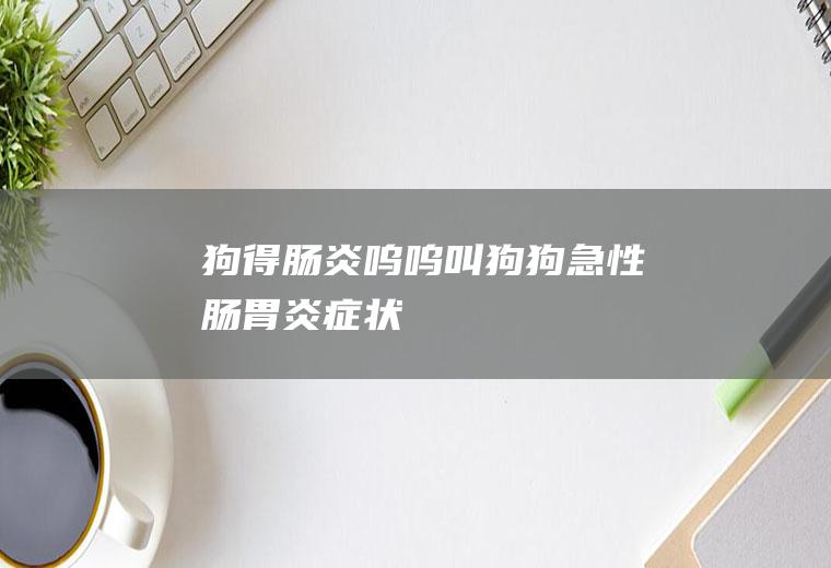 狗得肠炎呜呜叫(狗狗急性肠胃炎症状)