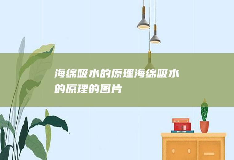 海绵吸水的原理,海绵吸水的原理的图片